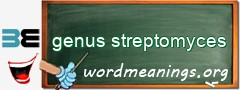 WordMeaning blackboard for genus streptomyces